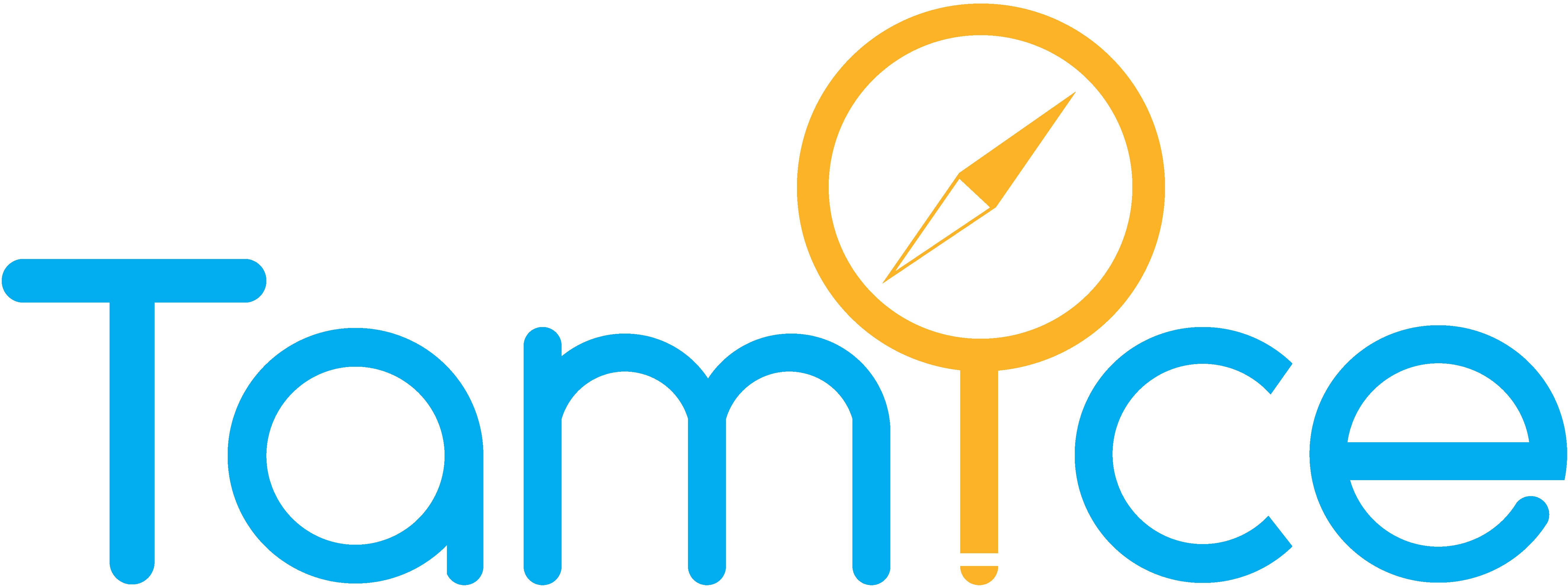 tamice logo